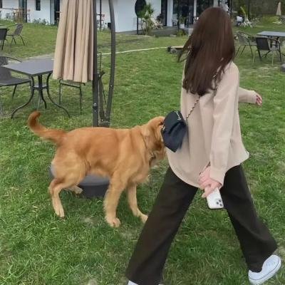 深潭往事