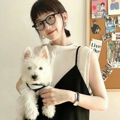 智运双全