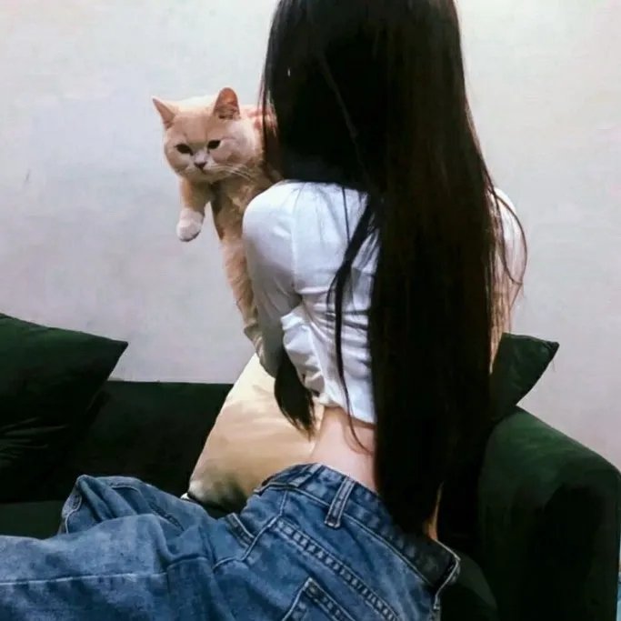 蝙蝠女侠第三季